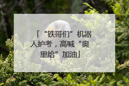 “铁哥们”机器人护考，高喊“奥里给”加油