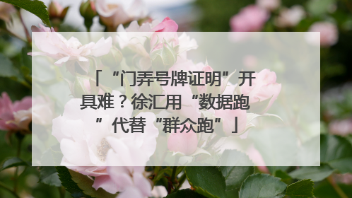 “门弄号牌证明”开具难？徐汇用“数据跑”代替“群众跑”