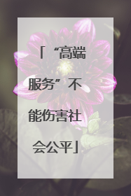 “高端服务”不能伤害社会公平