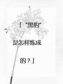 “黑豹”是怎样炼成的？