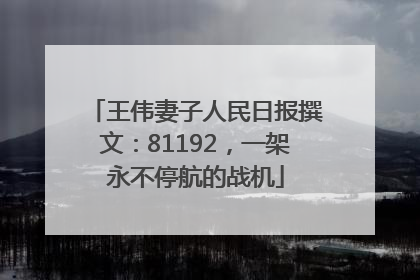 王伟妻子人民日报撰文：81192，一架永不停航的战机