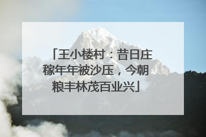 王小楼村：昔日庄稼年年被沙压，今朝粮丰林茂百业兴