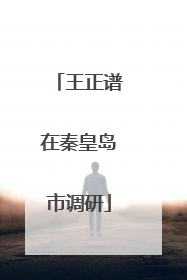 王正谱在秦皇岛市调研