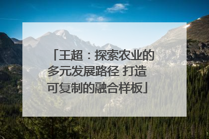 王超：探索农业的多元发展路径 打造可复制的融合样板