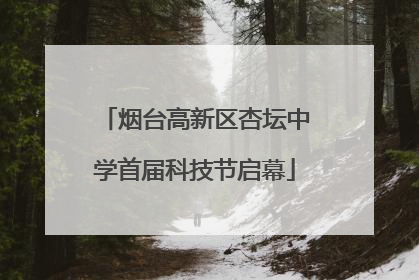 烟台高新区杏坛中学首届科技节启幕