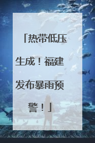 热带低压生成！福建发布暴雨预警！