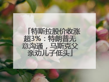 特斯拉股价收涨超3%：特朗普无意沟通，马斯克父亲劝儿子低头