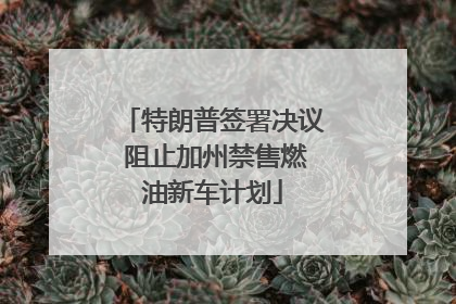 特朗普签署决议 阻止加州禁售燃油新车计划