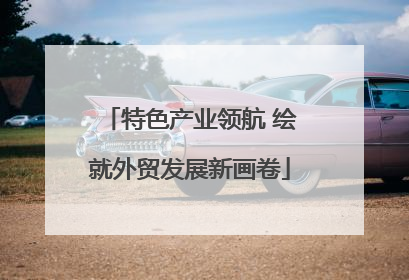 特色产业领航 绘就外贸发展新画卷