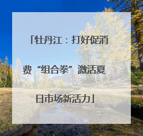 牡丹江：打好促消费“组合拳”激活夏日市场新活力