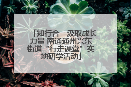 知行合一汲取成长力量 南通通州兴东街道“行走课堂”实地研学活动