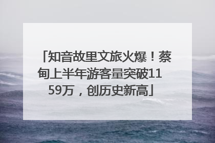 知音故里文旅火爆！蔡甸上半年游客量突破1159万，创历史新高