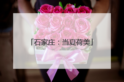 石家庄：当夏荷美