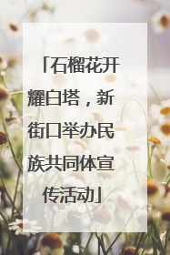 石榴花开耀白塔，新街口举办民族共同体宣传活动