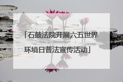 石鼓法院开展六五世界环境日普法宣传活动