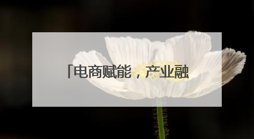 电商赋能，产业融合 平阳腾蛟打造笔记本产业新高地