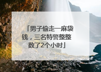男子偷走一麻袋钱，三名特警整整数了2个小时