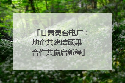 甘肃灵台电厂：地企共建结硕果 合作共赢启新程
