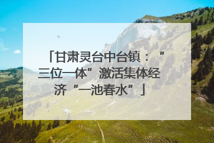 甘肃灵台中台镇：“三位一体”激活集体经济“一池春水”