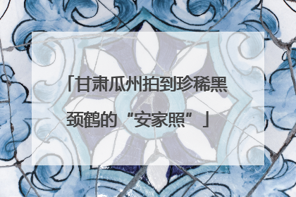 甘肃瓜州拍到珍稀黑颈鹤的“安家照”