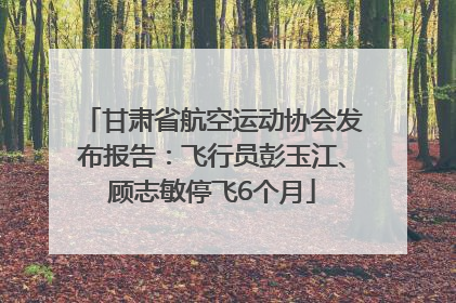 甘肃省航空运动协会发布报告：飞行员彭玉江、顾志敏停飞6个月