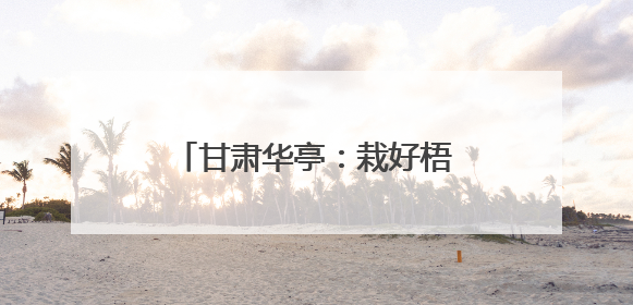甘肃华亭：栽好梧桐树 引得凤来栖