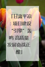 甘肃平凉：项目建设“引擎”轰鸣 高质量发展奋战正酣