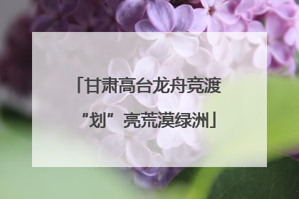 甘肃高台龙舟竞渡“划”亮荒漠绿洲