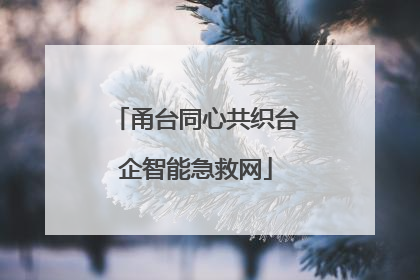 甬台同心共织台企智能急救网