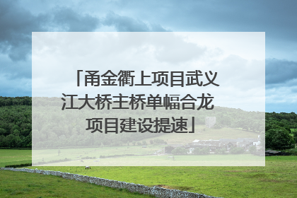 甬金衢上项目武义江大桥主桥单幅合龙 项目建设提速