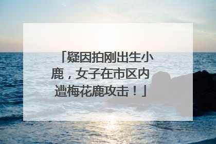 疑因拍刚出生小鹿，女子在市区内遭梅花鹿攻击！