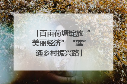 百亩荷塘绽放“美丽经济”“莲”通乡村振兴路
