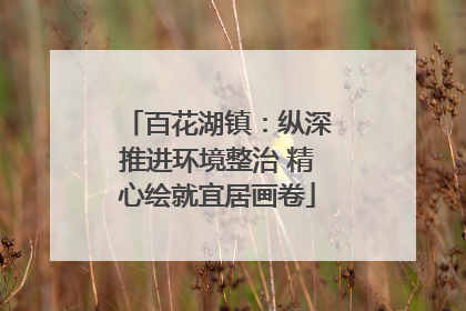 百花湖镇：纵深推进环境整治 精心绘就宜居画卷