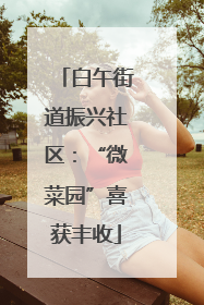 白午街道振兴社区：“微菜园”喜获丰收