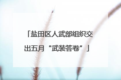 盐田区人武部组织交出五月“武装答卷”