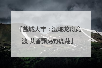 盐城大丰：湿地龙舟竞渡 艾香飘荡野鹿荡