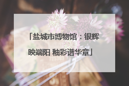 盐城市博物馆：银辉映端阳 釉彩谱华章