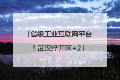 省级工业互联网平台！武汉经开区+2