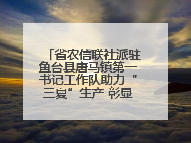 省农信联社派驻鱼台县唐马镇第一书记工作队助力“三夏”生产 彰显为民担当