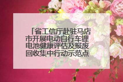 省工信厅赴驻马店市开展电动自行车锂电池健康评估及报废回收集中行动示范点建设调研指导