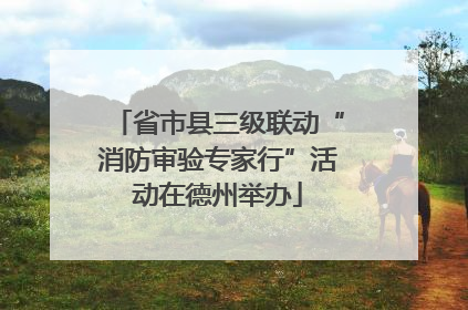 省市县三级联动“消防审验专家行”活动在德州举办