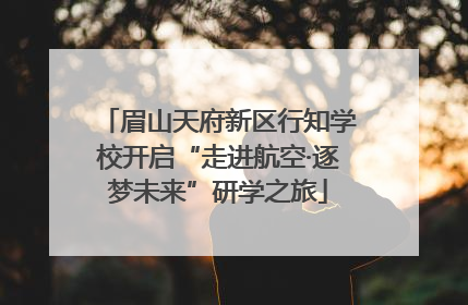 眉山天府新区行知学校开启“走进航空·逐梦未来”研学之旅