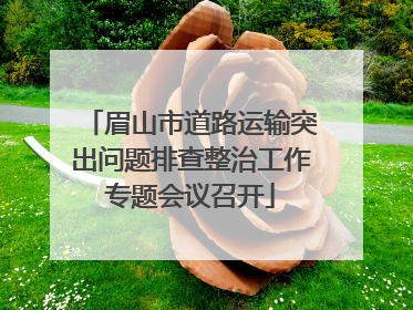 眉山市道路运输突出问题排查整治工作专题会议召开