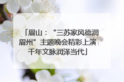 眉山：“三苏家风德润眉州”主题晚会精彩上演千年文脉润泽当代