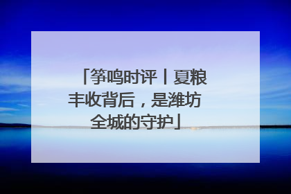 筝鸣时评丨夏粮丰收背后，是潍坊全城的守护