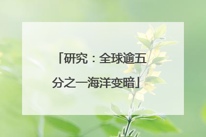 研究：全球逾五分之一海洋变暗