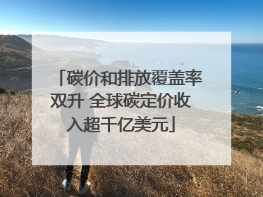 碳价和排放覆盖率双升 全球碳定价收入超千亿美元