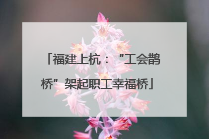 福建上杭：“工会鹊桥”架起职工幸福桥
