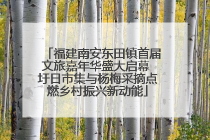 福建南安东田镇首届文旅嘉年华盛大启幕 圩日市集与杨梅采摘点燃乡村振兴新动能