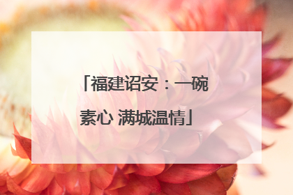 福建诏安：一碗素心 满城温情